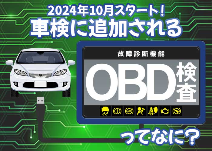 コジコージ様 予備検査 視力検査？ゴーヤー — HABUBOXオンラインストア